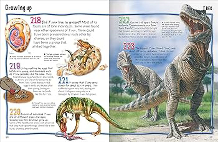 Picture of 3393 WILD ABOUT DINOSAURS